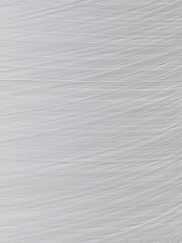 POY (Polyester Pre-oriented Yarn) (30D-300D)